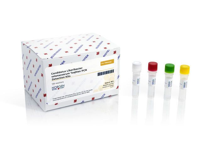 Candidatus Liberibacter solanacearum Detection Kit (100 reactions)